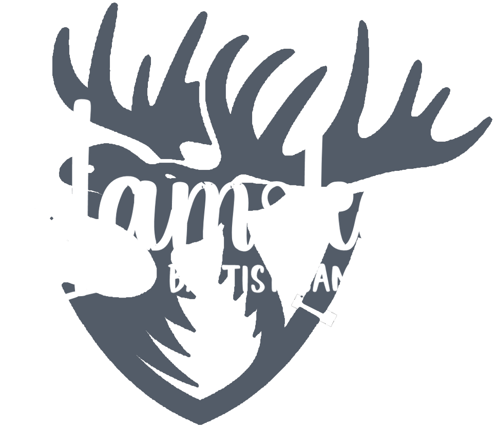 Adventure Camp – Lamoka Baptist Camp